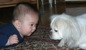 Jonah and Bianca staredown